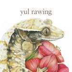 율로잉 | 감성 파충류 색연필화🎨