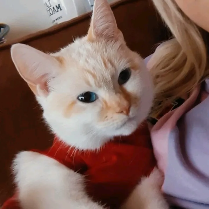 Cola & Kenji 😼