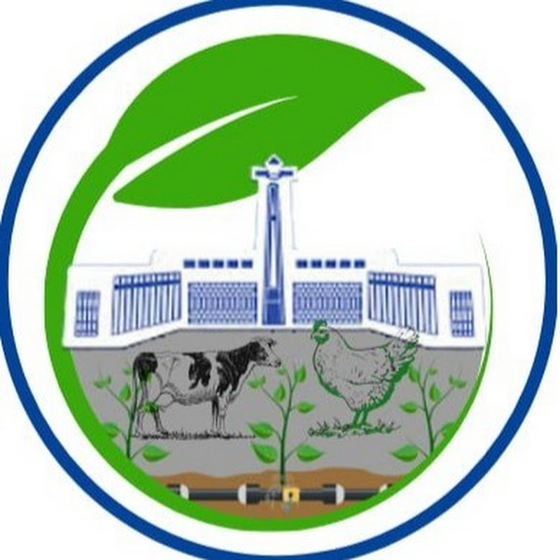 Voice of Addis Urban Agri