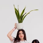 Janinalchair