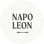 Napoleon Wien