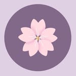 Cosmetics Reload ✿