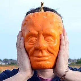 Fruitmould