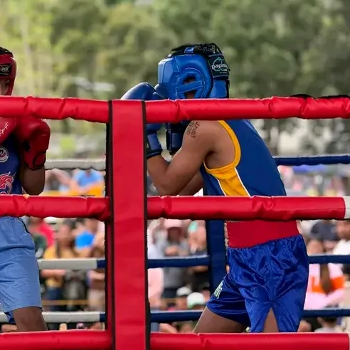 🥊"JUS TINE"🥊