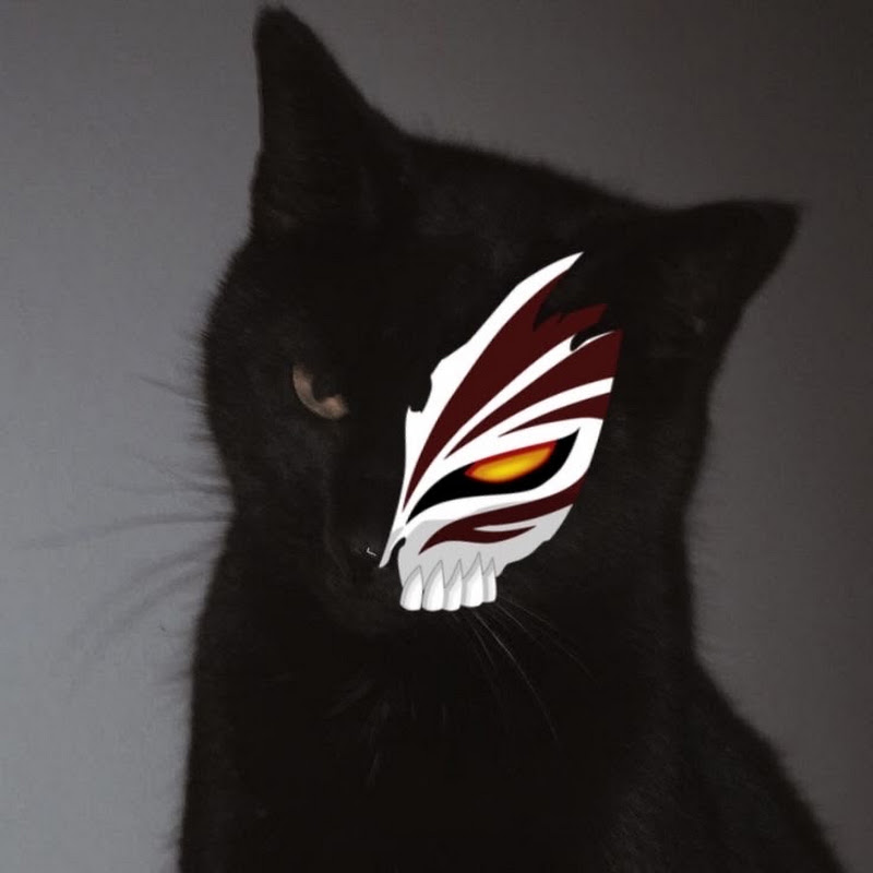 ZS•ZULPYHAR 