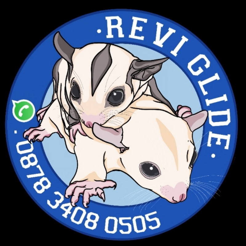Revi SG