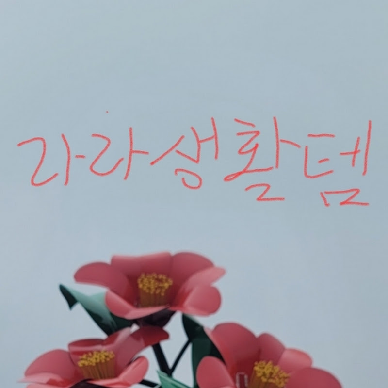 라라생활템
