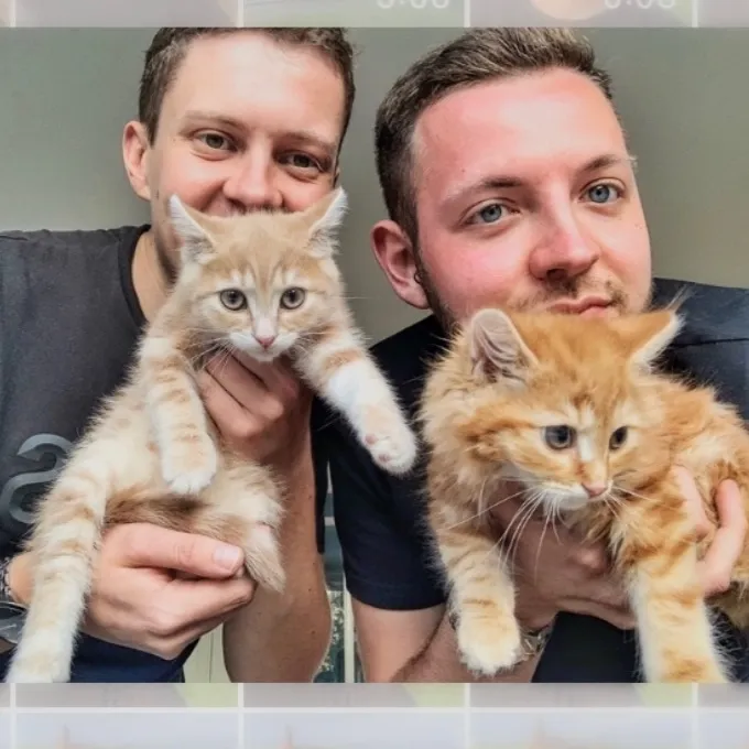 Ben Cool Cats