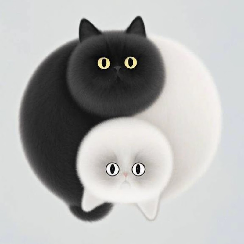 「峰哥」比特币行情分析