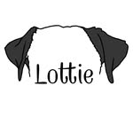 Lottie
