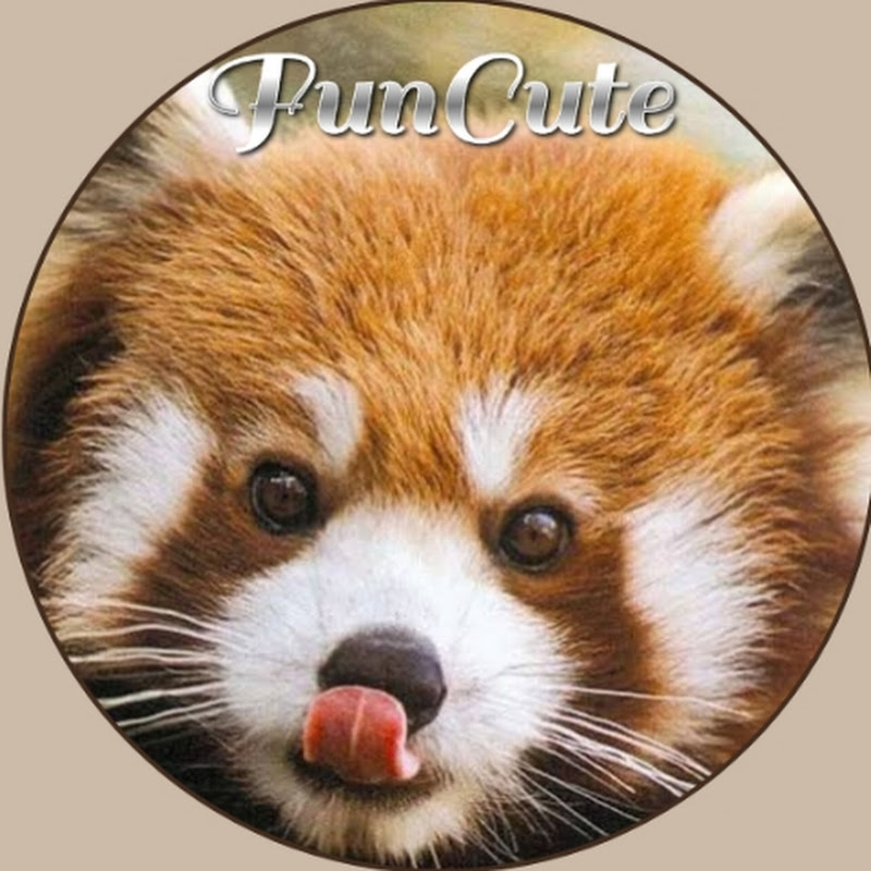 FunCute