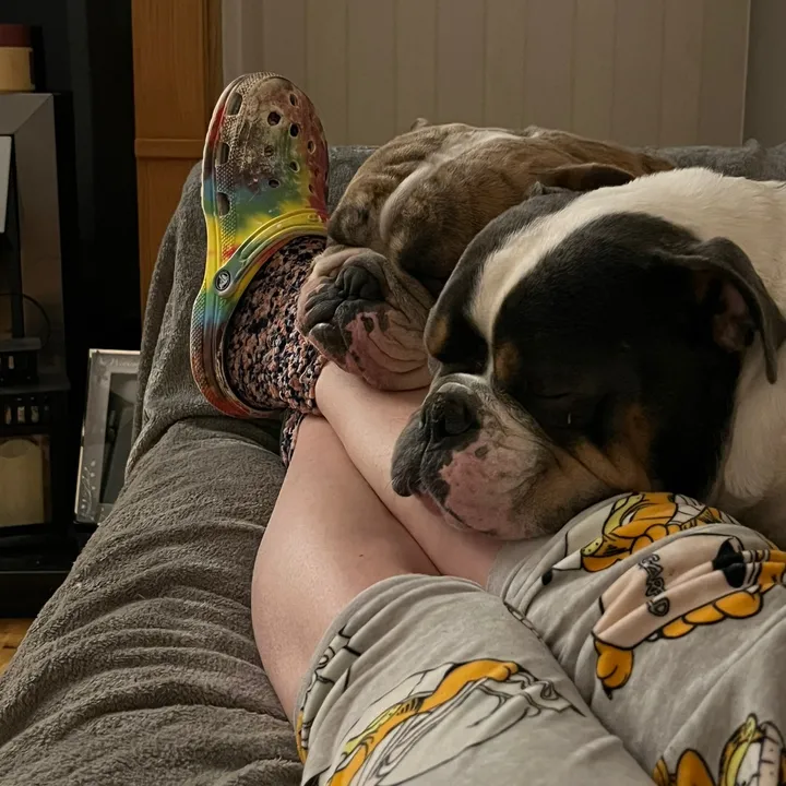 PjandBruno