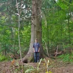 Александр Никонов