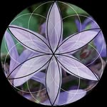 Geometry in Nature