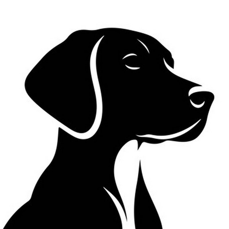 𝙬𝙤𝙤𝙛 𝙬𝙚𝙣𝙙𝙚𝙧