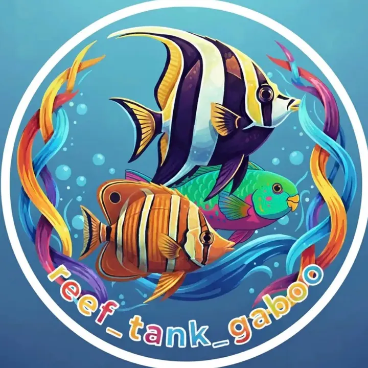 Reef_tank_gaboo
