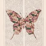 Nans🦋