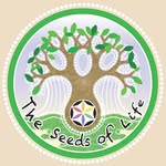 The Seeds of Life | Raw & Vegan Cafe Ubud Bali