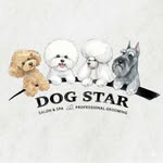 Dog Star Salon&Spa - Professional Grooming