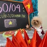 Yuppy Puppy