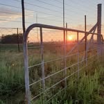 AGRI link - SA