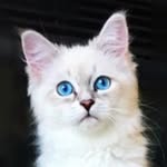 Bowie & Jovi | Travel | Influencer | California