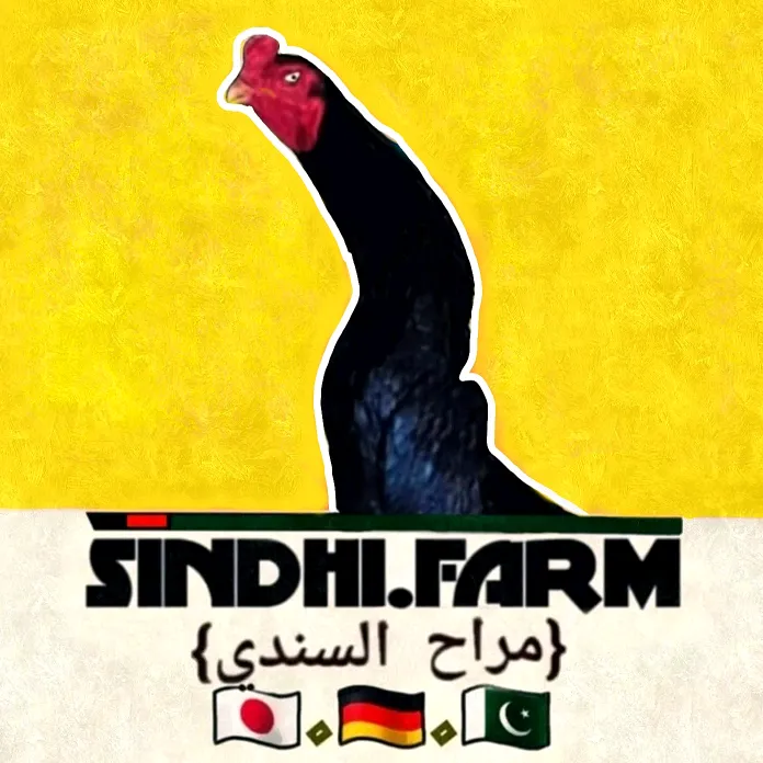 ابو عباس السندي 👨‍🌾