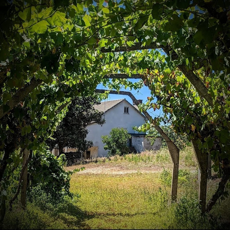 Quinta Lima Portugal
