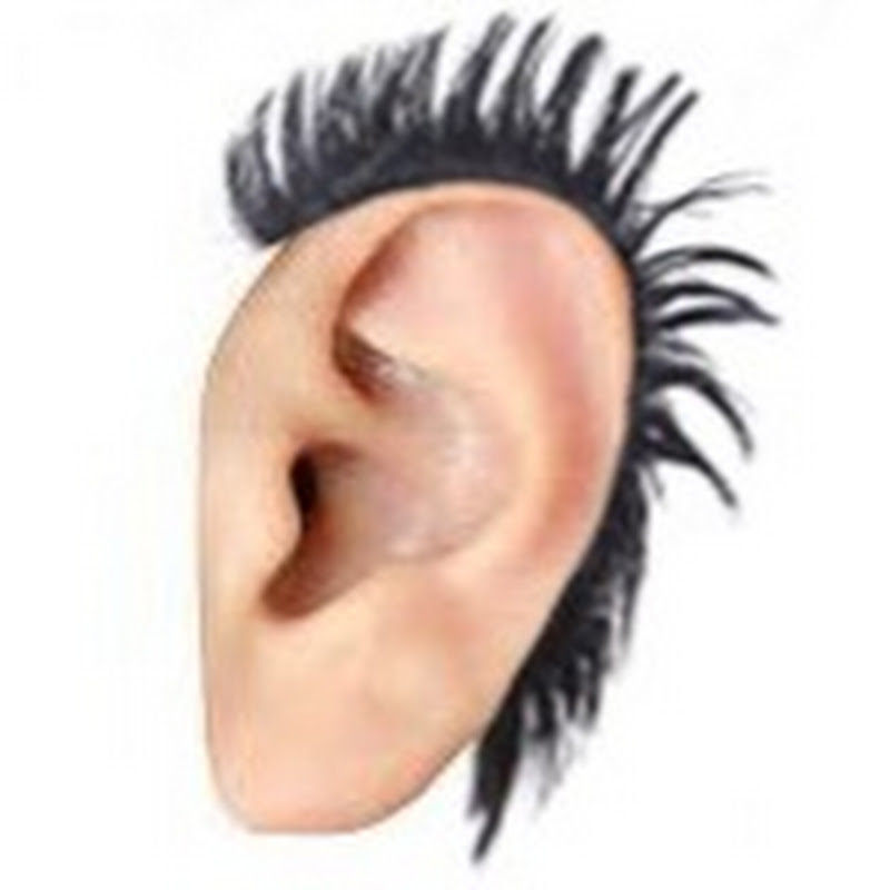KISS MY EARS