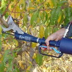 Poda Olivos Superintensivos