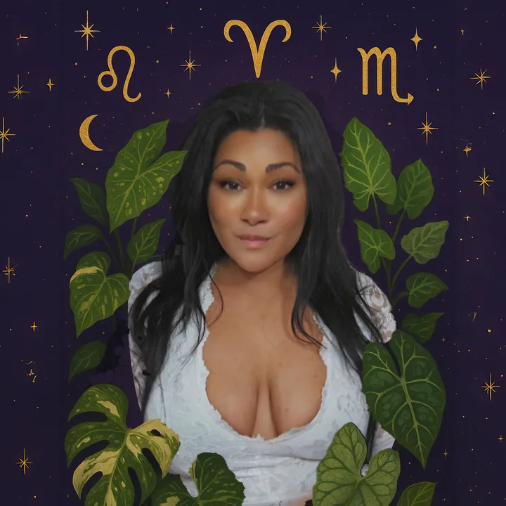 𝐕𝐈𝐕𝐈𝐃𝐇𝐎𝐔𝐒𝐄𝐏𝐋𝐀𝐍𝐓