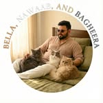 B N B - The Persian Cats 🇮🇳