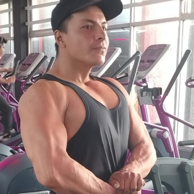 Mundo Organillero