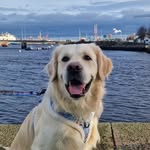 🅹🅰🆂🅺🅸🅴🆁