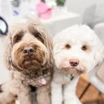 Bailey and Winnie