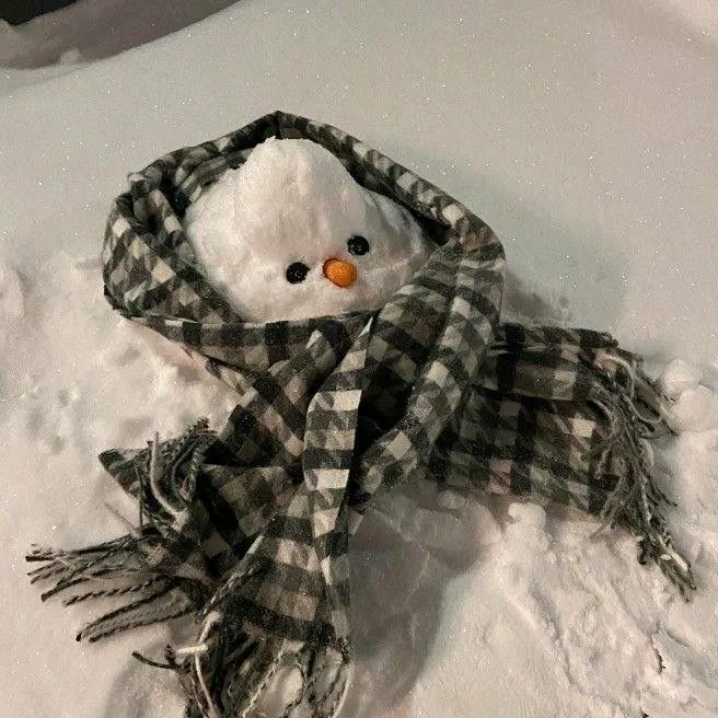 Fonz ⛄