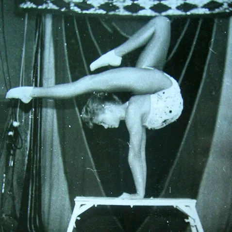contortion the world