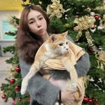 Kate Chen♥️Cat 🐈🐈🐈
