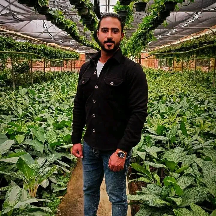 Eng Ahmed ElAdly