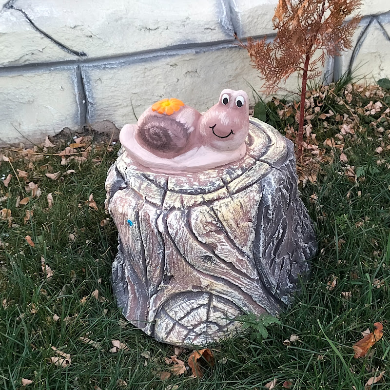 Gradina si decor