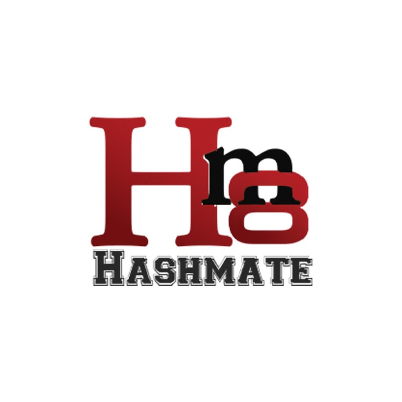 THE HASHMATE CRICKET