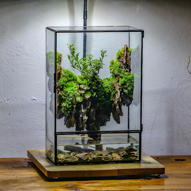 NCYPgarden Terrarium
