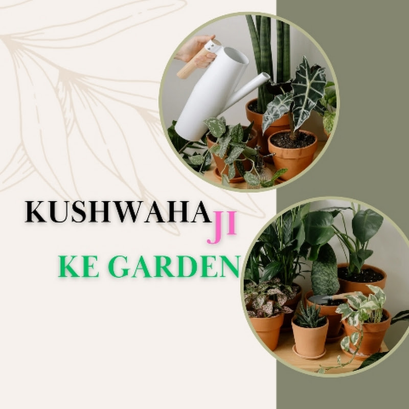 Kushwahaji ke Garden