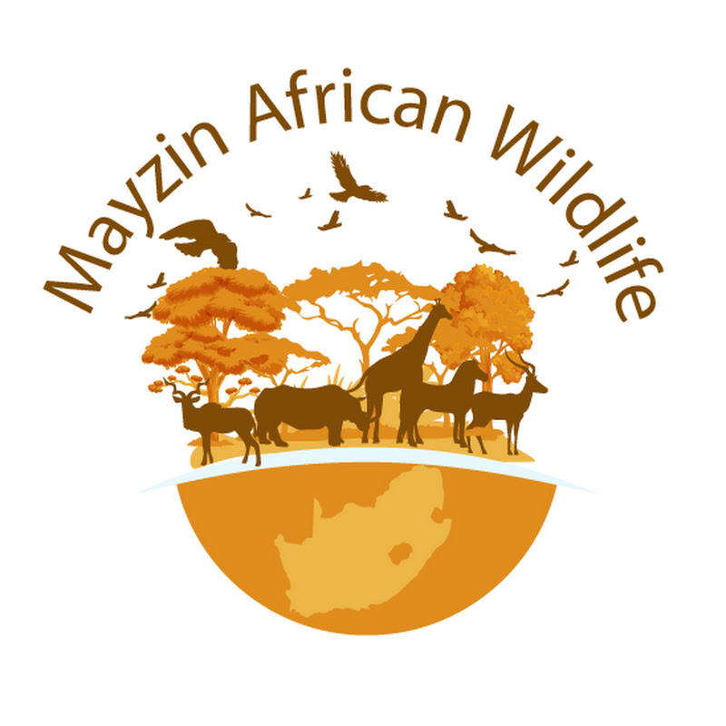 Mayzin African Wildlife