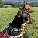 Thor  & Zoe 🐾 💗