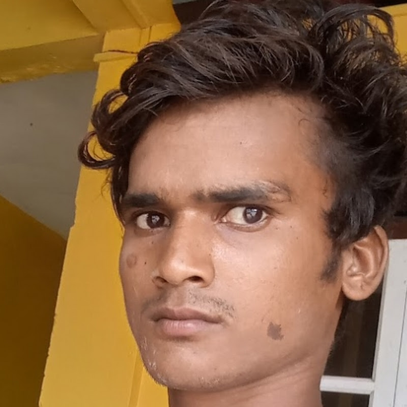 Palli Gram TVh