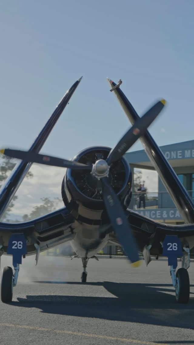 Hunter Warbirds