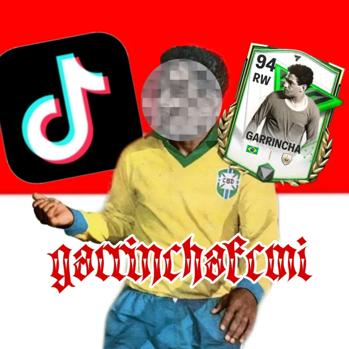 Garrincha indo