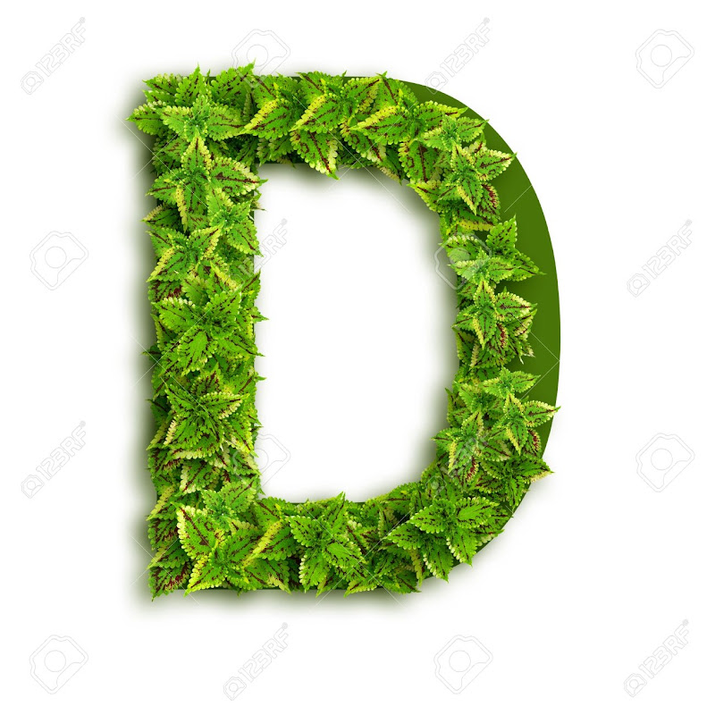 Danisfit
