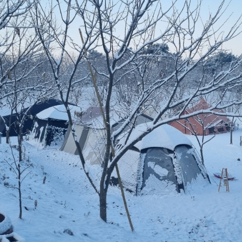 캠핑쌤